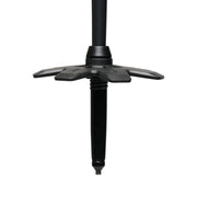 Alpine Carbon Cork Trekking Poles