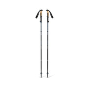 Trail Vista FLZ Trekking Poles
