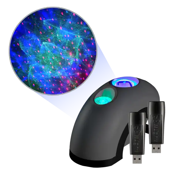 Big Aurora Bundle