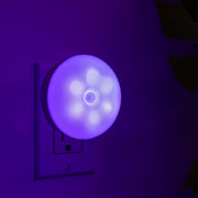 Evolving Smart Lights Bundle