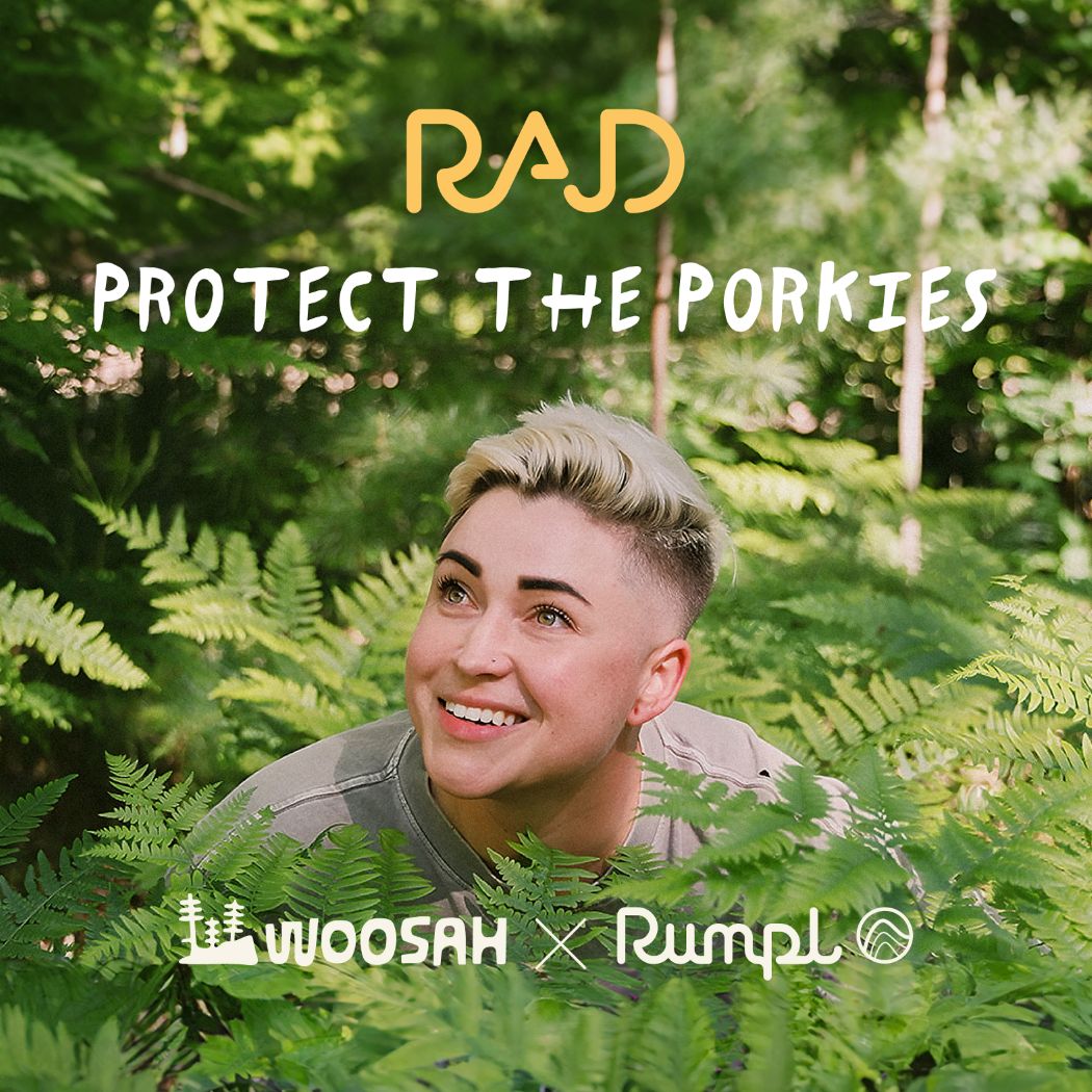 The Camp Pillow - Rae Lang - Protect The Porkies